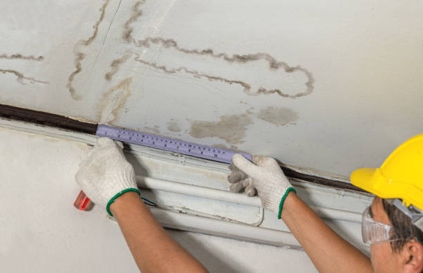 Reliable Water Damage Repair contractor in West Chicago, IL by Hirex Water Damage
